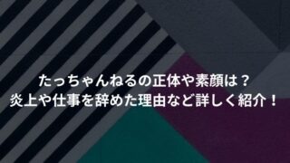 たっちゃんねるの正体や素顔は？炎上や仕事を辞めた理由など詳しく紹介！