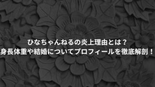 ひなちゃんねるの炎上理由とは？ 身長体重や結婚についてプロフィールを徹底解剖！