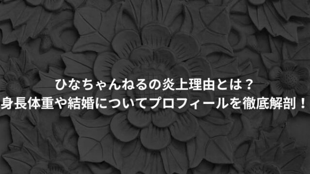 ひなちゃんねるの炎上理由とは？ 身長体重や結婚についてプロフィールを徹底解剖！