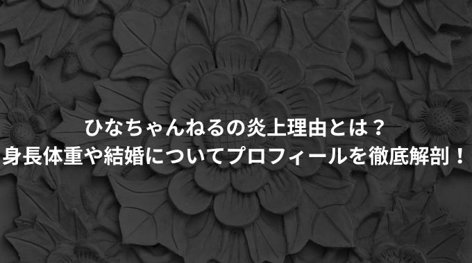 ひなちゃんねるの炎上理由とは？ 身長体重や結婚についてプロフィールを徹底解剖！