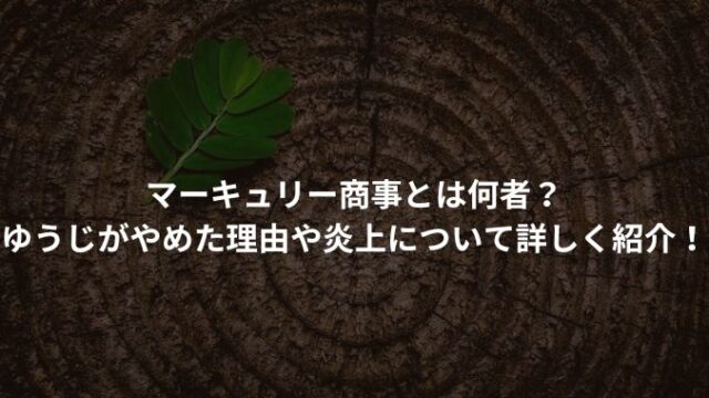 マーキュリー商事とは何者？ゆうじがやめた理由や炎上について詳しく紹介！