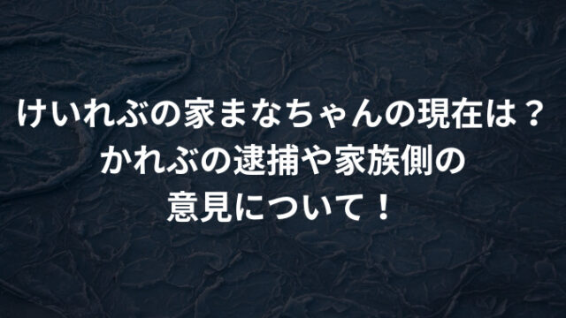 けいれぶの家まなちゃんの現在は？かれぶの逮捕や家族側の意見について！