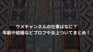 ウメチャンネルの仕事はなに？ 年齢や結婚などプロフや炎上ついてまとめ！