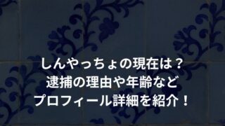 しんやっちょの現在は？逮捕の理由や年齢などプロフィール詳細を紹介！