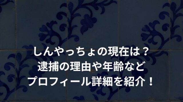 しんやっちょの現在は？逮捕の理由や年齢などプロフィール詳細を紹介！