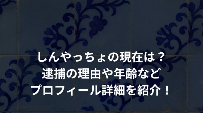 しんやっちょの現在は？逮捕の理由や年齢などプロフィール詳細を紹介！