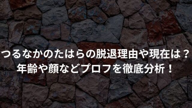 つるなかのたはらの脱退理由や現在は？ 年齢や顔などプロフを徹底分析！