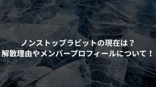 ノンストップラビットの現在は？ 解散理由やメンバープロフィールについて！