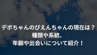 デボちゃんのぴえんちゃんの現在は？種類や系統、年齢や出会いについて紹介！