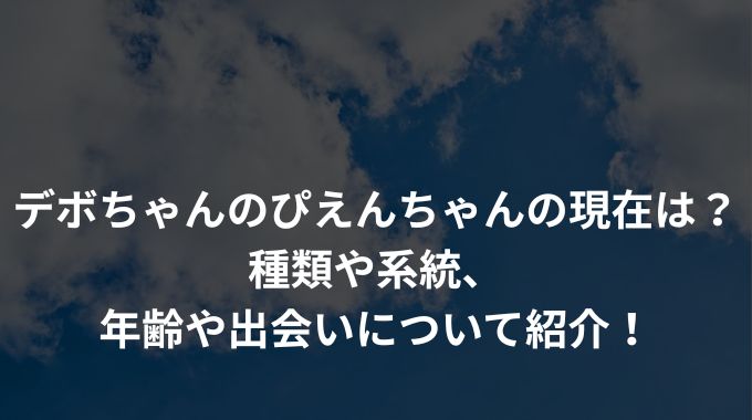 デボちゃんのぴえんちゃんの現在は？種類や系統、年齢や出会いについて紹介！